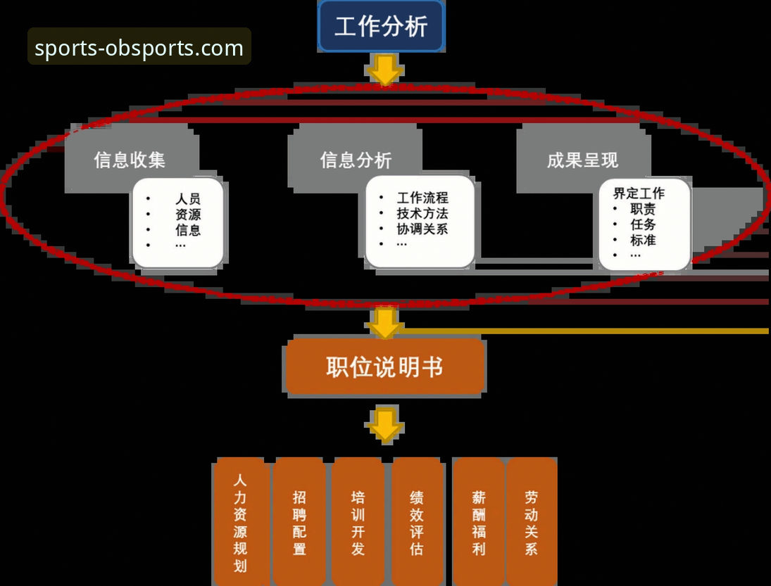 资深分析师解读：为何ob体育平台官网能成为体育娱乐首选平台